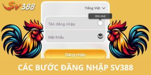 Các bước đăng nhập sv388