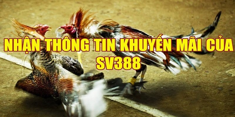 Chỉ dẫn khách hàng nhận khuyến mãi tại SV388