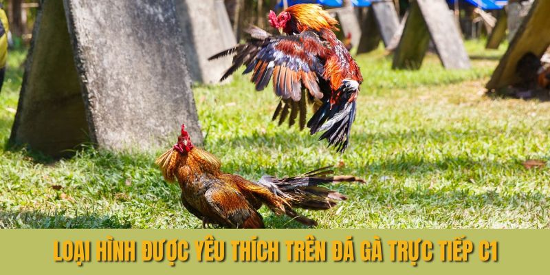 Loại hình được yêu thích trên đá gà trực tiếp C1